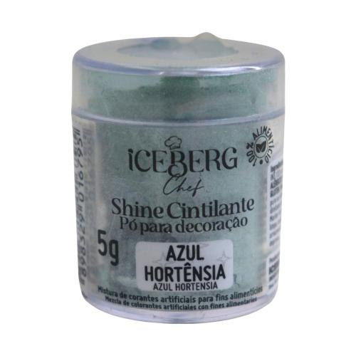 PO PARA DECORACAO CINTILANTE AZUL HORTENCIA 5G UN ICEBERG