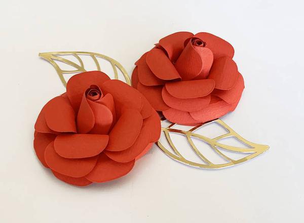 ROSA GRANDE VERMELHA 2UN TOPO MANIA