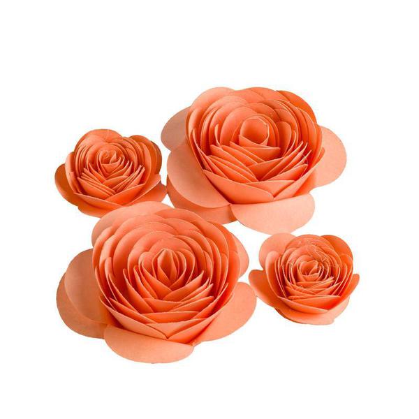 ROSA ROCOCO SALMAO 04UN TOPO MANIA