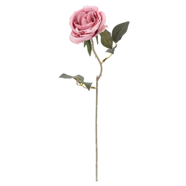 ROSA SOLITARIA ROS/VRD UN CROMUS
