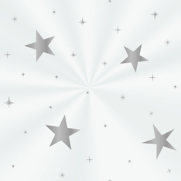 SACO CESTA 45X59CM TRANSPARENTE BRILHAR PRATA UN CROMUS