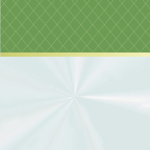 SACO CESTA 60X75CM TRANSPARENTE BARRADO ROYAL UN CROMUS