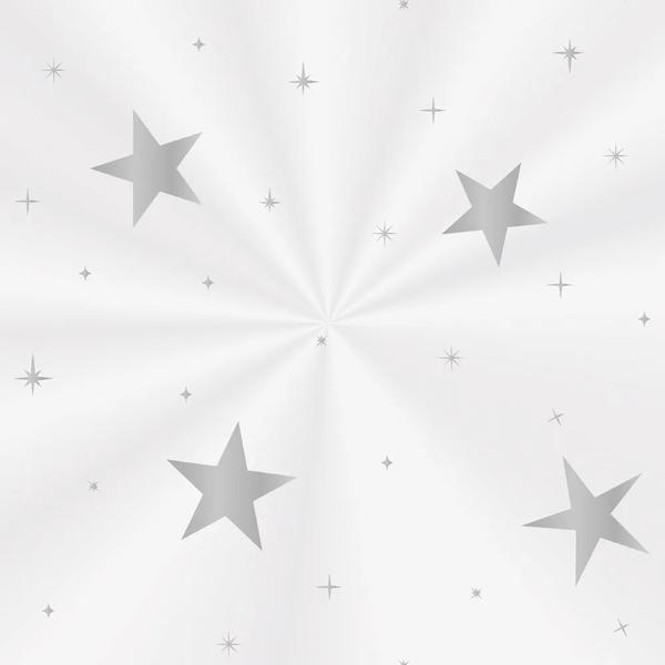 SACO CESTA 60X75CM TRANSPARENTE BRILHAR PRATA UN CROMUS