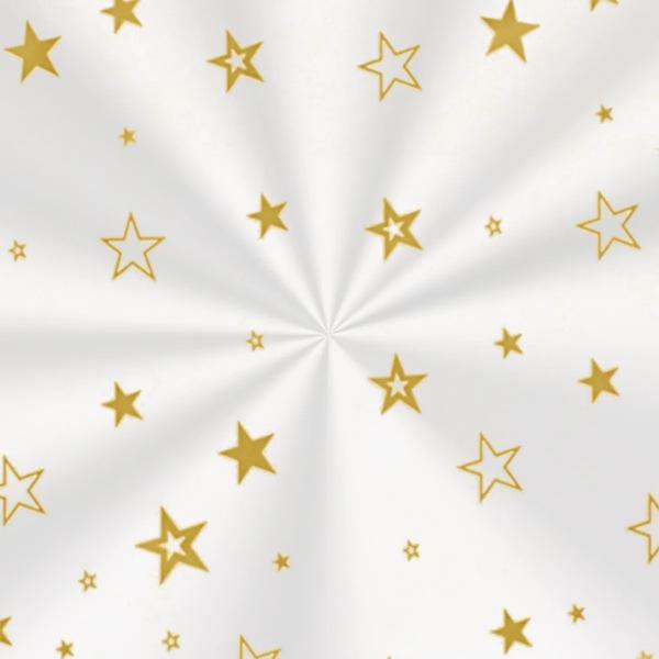 SACO TRANSPARENTE 10X14CM ESTRELA OURO 100UN CROMUS