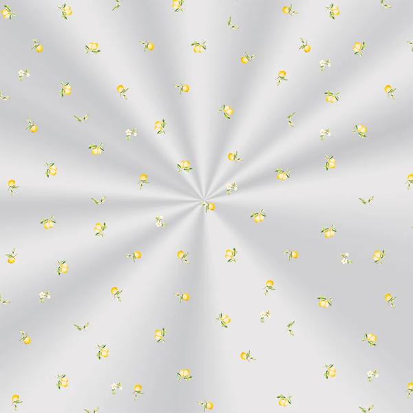 SACO TRANSPARENTE 10X14CM LEMON 100UN CROMUS