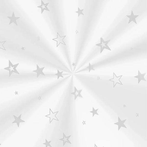 SACO TRANSPARENTE 20X29CM ESTRELA PRATA 100UND CROMUS