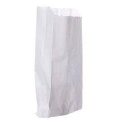 SACO VIAGEM Nº02 19X22CM 100UN MONO