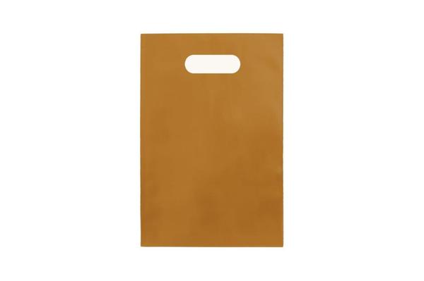 SACOLA ALCA VAZADA 16X20CM DOURADO C/50UN SUSTENPLAST