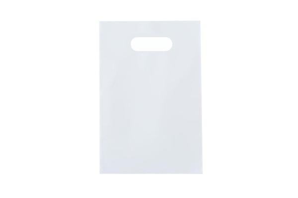 SACOLA ALCA VAZADA 20X30CM BRANCA C/50UN SUSTENPLAST