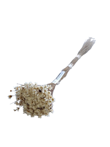 SEMPRE VIVA DESIDRATADA NATURAL 40CM UN FLORARTE