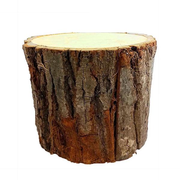 TRONCO DECORATIVO MADEIRA MARROM RUSTICO JG C/15UN CROMUS