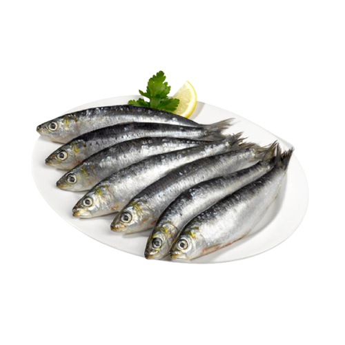 SARDINHA SALGADA EMBAL KG