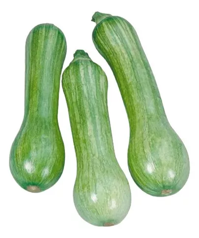 Abobora Kg Menina Tropical