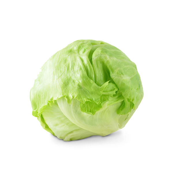 Alface Un Americana Tropical