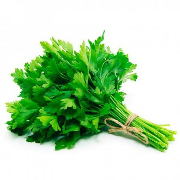 Coentro Maco Un  Tropical