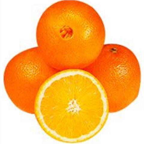 Laranja Kg Bahia Tropical