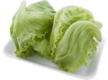 ALFACE AMERICANA MENEGHINI BDJ UN