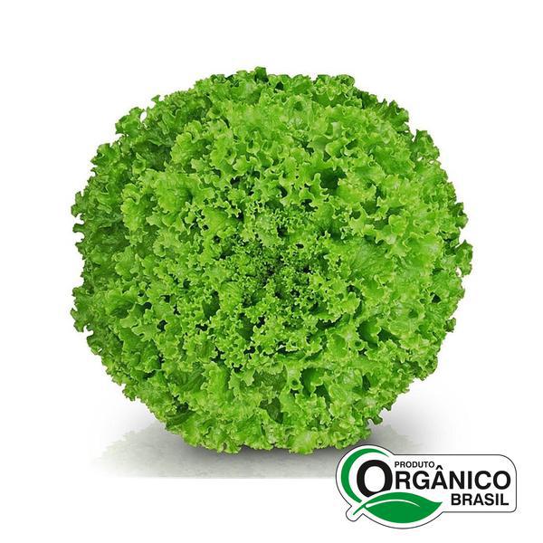 ALFACE LUZZI ORGANICA UN