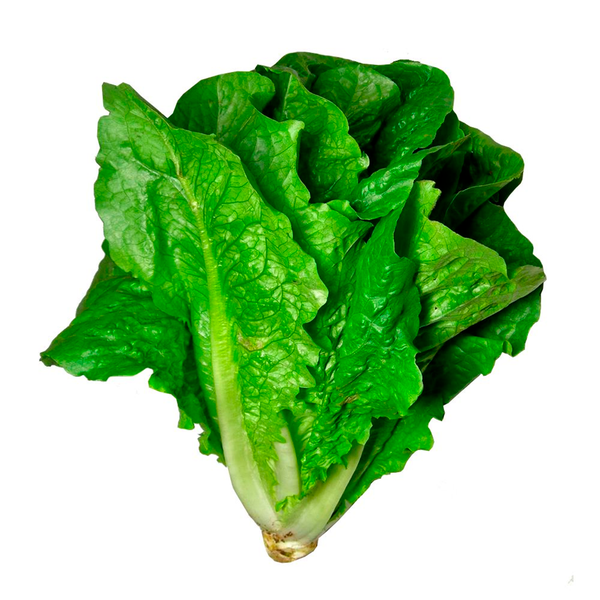 ALMEIRÃO MENEGHINI UN