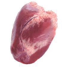 CARNE BOVINA CORAÇÃO KG