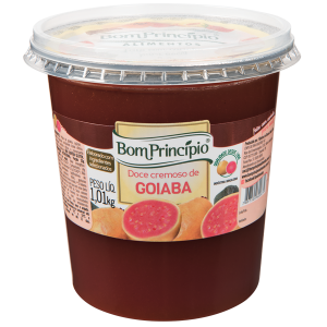 DOCE DE FRUTA BOM PRINCÍPIO GOIABA 1,01KG