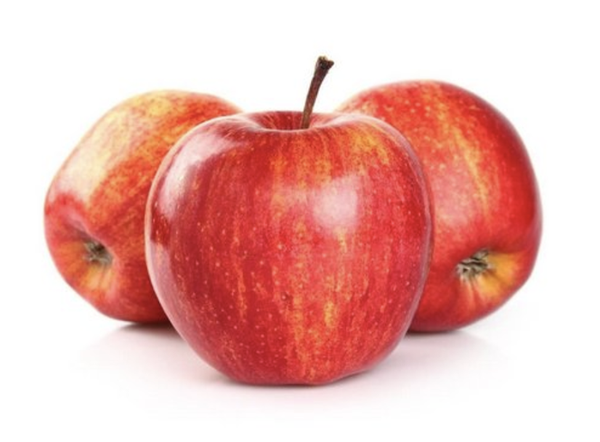 FOCCACIA UNICOOPER CALABRESA KG