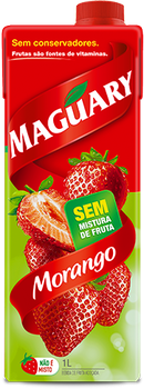 NÉCTAR MAGUARY  MORANGO 1L