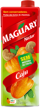 NÉCTAR MAGUARY TP CAJU 1L