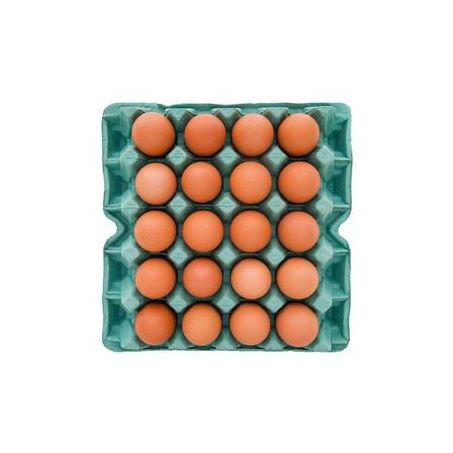 OVOS VERMELHOS BENTO BDJ C/ 20