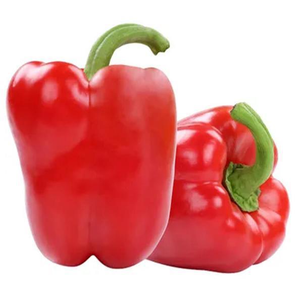 PIMENTÃO VERMELHO KG