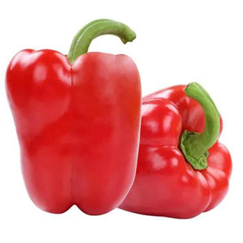 PIMENTÃO VERMELHO KG