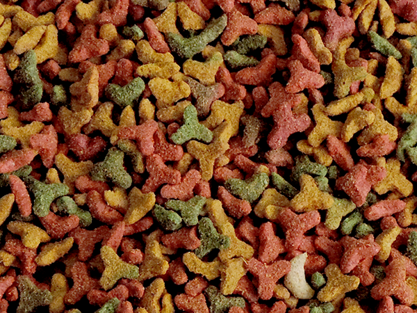 RAÇÃO A GRANEL GATO CRIADOR MIX KG