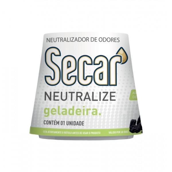 SECAR GELADEIRA ABS DE ODORES 30G