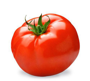 TOMATE LONGA VIDA KG