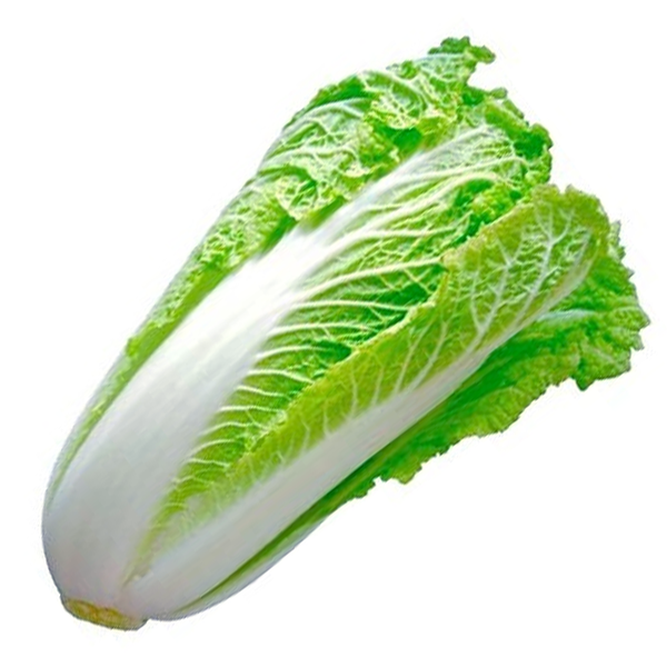 Acelga
