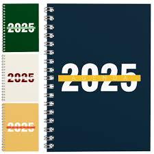 Agenda Lisa Sortida 2025 14,5x21Cm RMT1939  Rio Master