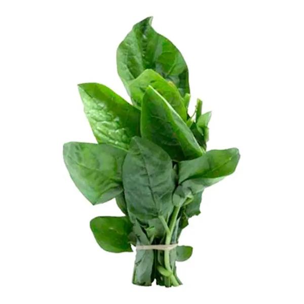 Bertalha