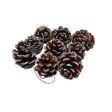 Enfeite Natal Pinha Nevada Nta0002 Emb Rio De Ouro 9pc