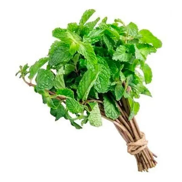 Hortela