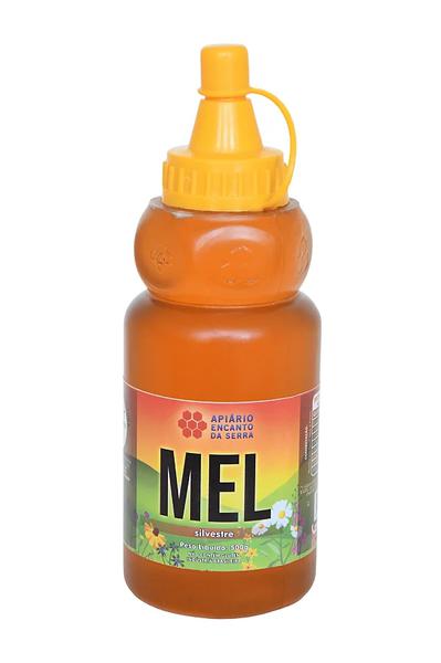 Mel Bisnaga Apiario da Serra Bisn 500g Florada Silvestre
