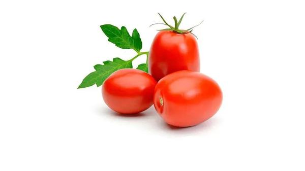Tomate Italiano Medio kg