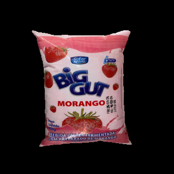 BEB LACTEA BIG GUT MORANGO SH 900G