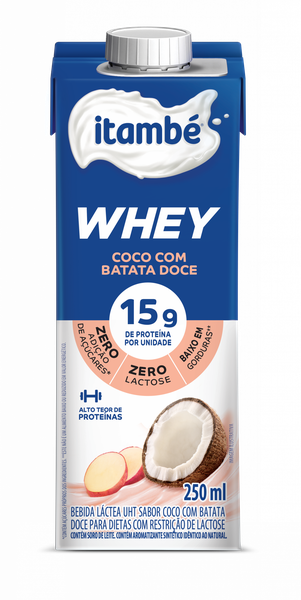 BEB LAC ITAMBE PRO WHEY COCO 250ML