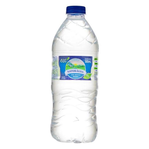 AGUA NATURAGUA S/G 500ML
