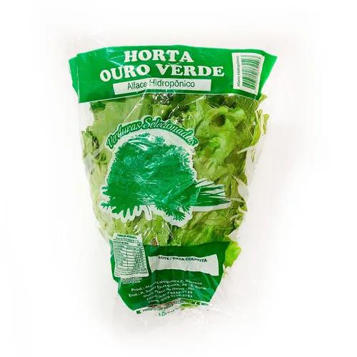 ALFACE HIDROPONICA CAMPO OURO VERD