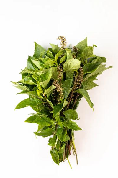 ALFAVACA CAMPO OURO VERD UND