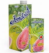 NECTAR JANDAIA PRONTO 1LT GOIABA
