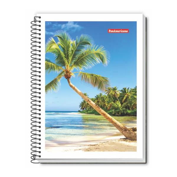 CADERNO 1/4 ESPIRAL FLEX.48FLS AMAZING M.P