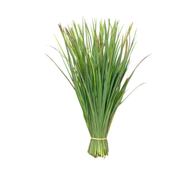 CAPIM SANTO CAMPO OURO VERD UND