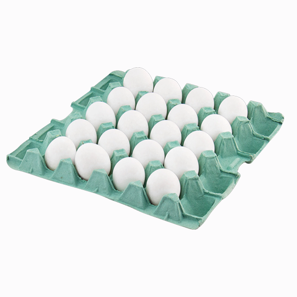 OVO BRANCO GRANDE C/ 20 UNID REGINA